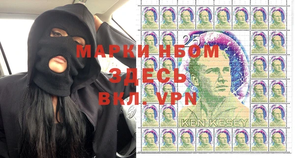 крисы Надым