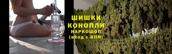 PSILOCYBIN Нея