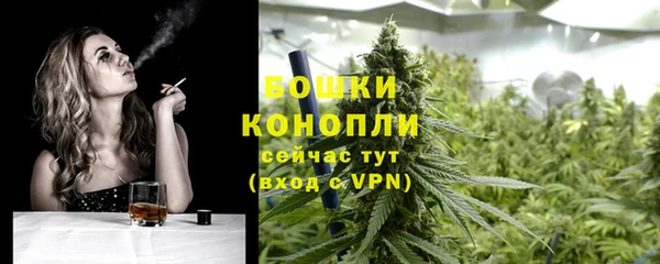 крисы Надым