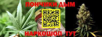 гашик Гатчина