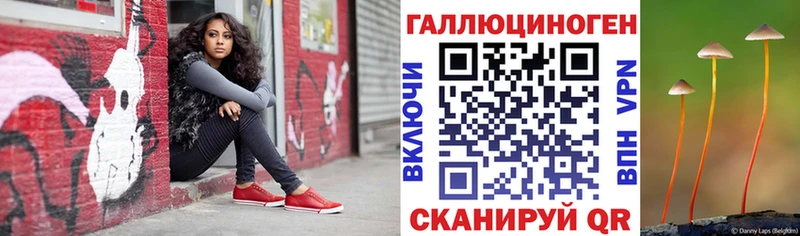 Псилоцибиновые грибы ЛСД  blacksprut онион  Нефтекумск 