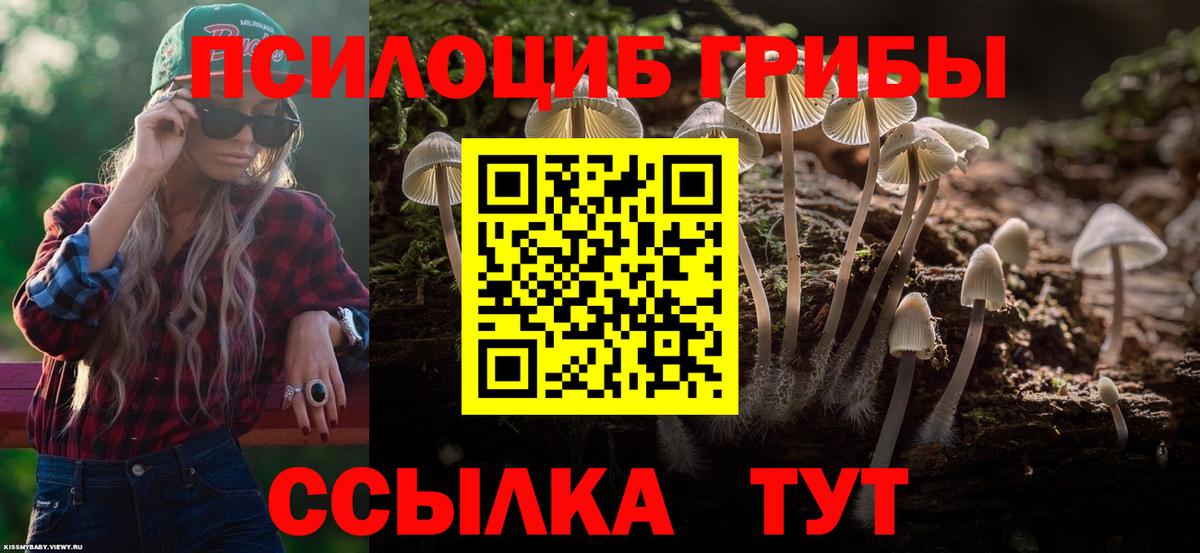 Нефтекумск  Псилоцибиновые грибы прущие грибы  Вход с VPN 